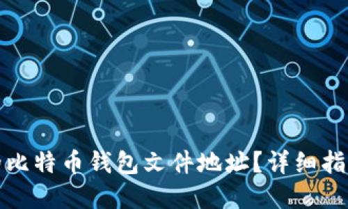 如何找到你的比特币钱包文件地址？详细指南与实用技巧