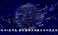 比特币U盘钱包：安全存储