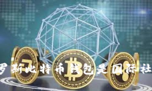 为什么封禁俄罗斯比特币钱包是国际社会的重要步骤？