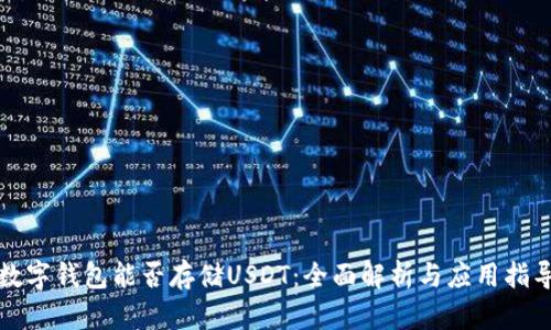 数字钱包能否存储USDT：全面解析与应用指导