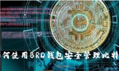 如何使用BRD钱包安全管理