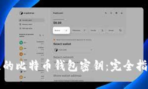 如何找回丢失的比特币钱包密钥：完全指南与实际技巧