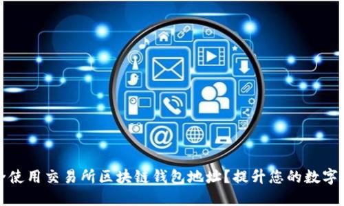 如何安全使用交易所区块链钱包地址？提升您的数字资产保护