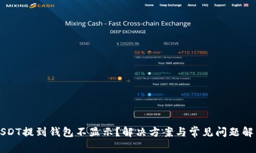 USDT提到钱包不显示？解决方案与常见问题解析