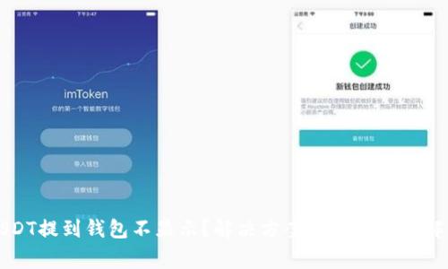 USDT提到钱包不显示？解决方案与常见问题解析