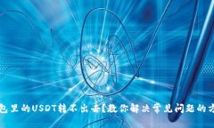 钱包里的USDT转不出去？教你解决常见问题的方法